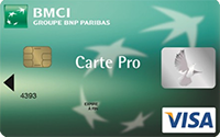 Visa Pro